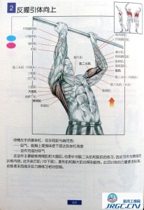 健身说明