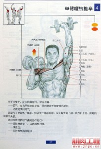 46